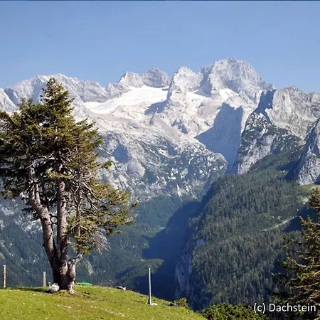 Ferienhaus Holiday Gamsblume.20 Annaberg im Lammertal